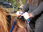 b reins ridingaids strap