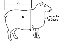 measure01