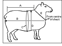 measure02