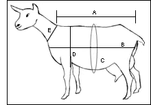 measure05