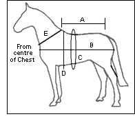 measure08